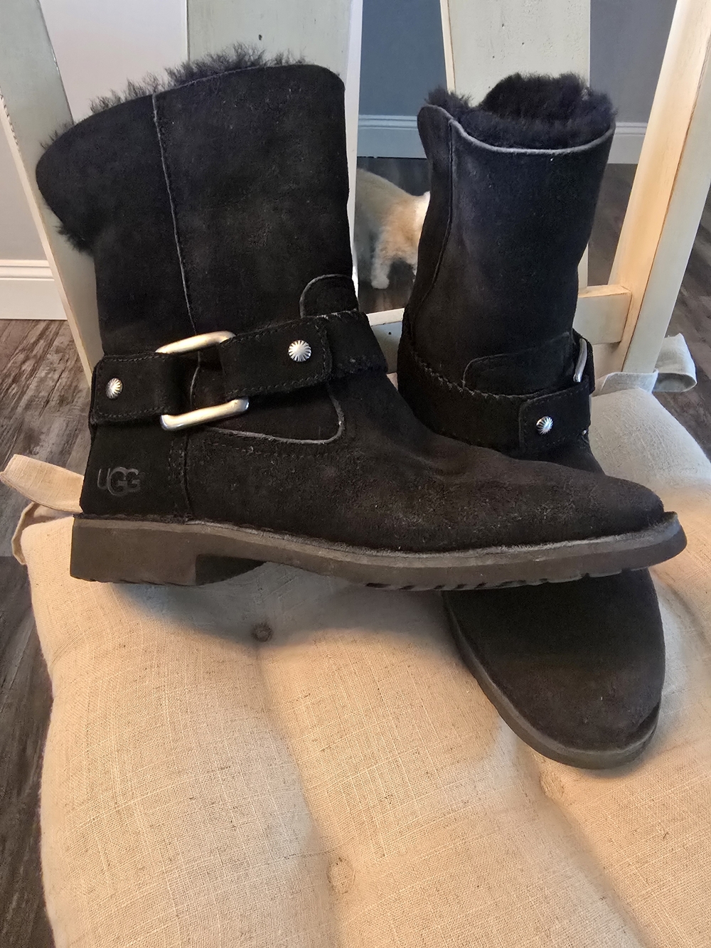 UGG Black Suede Shearling Mid-Calf Buckle Boots....Can Roll Down To Ankle Boots